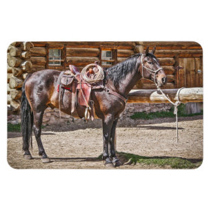 Magnet Flexible Cheval à cheval