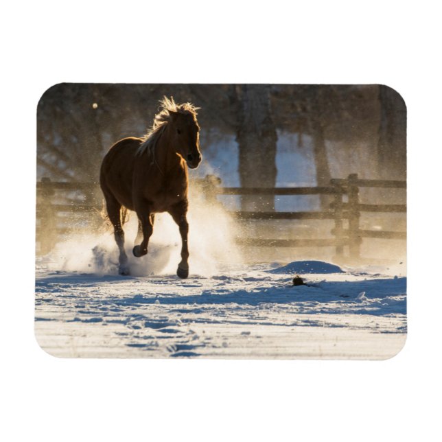 Magnet Flexible Cheval à travers la neige (Horizontal)