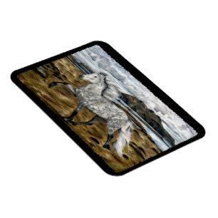 Magnet Flexible Cheval charismatique islandais