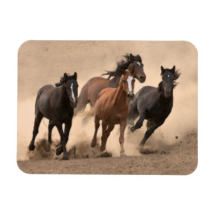 Magnet Flexible Cheval dans l'automne II