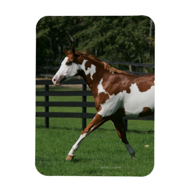 Magnet Flexible Cheval de peinture en marche 1 (Vertical)