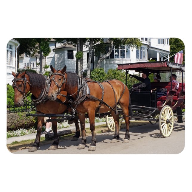 Magnet Flexible Cheval et transport sur l'île Mackinac MI (Horizontal)
