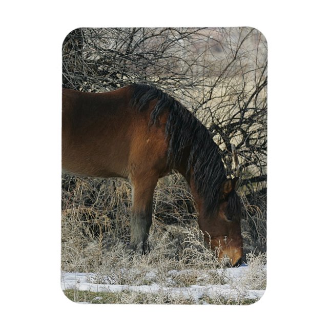 Magnet Flexible Cheval Mustang sauvage dans la neige 1 (Vertical)