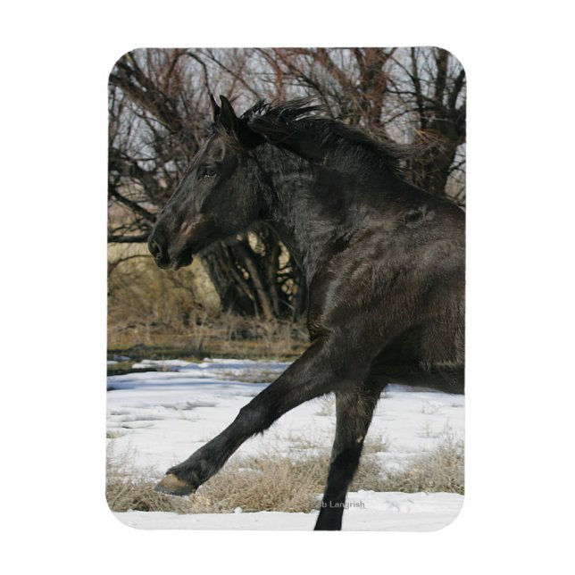 Magnet Flexible Cheval Mustang sauvage dans la neige 2 (Vertical)
