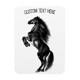 Magnet Flexible Cheval sauvage noir droit - Dessin noir et blanc