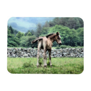 MAGNET FLEXIBLE CHEVAUX