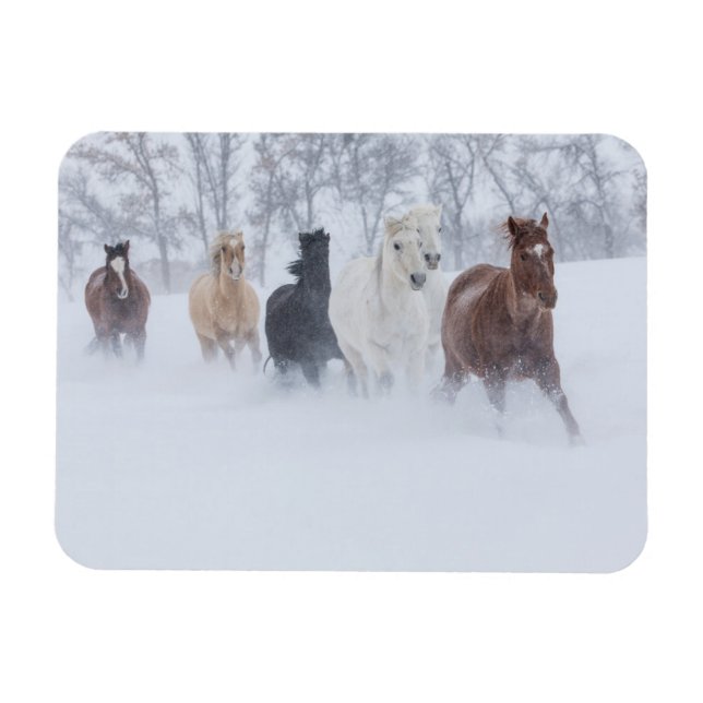 Magnet Flexible Chevaux à travers la neige (Horizontal)