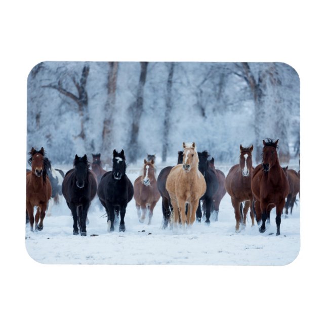 Magnet Flexible Chevaux dans le froid (Horizontal)