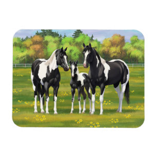 Magnet Flexible Chevaux De Peinture De Pinto Noir En Pâturage Été