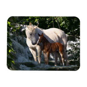 Magnet Flexible Chevaux d'Imaginaire : Cascade