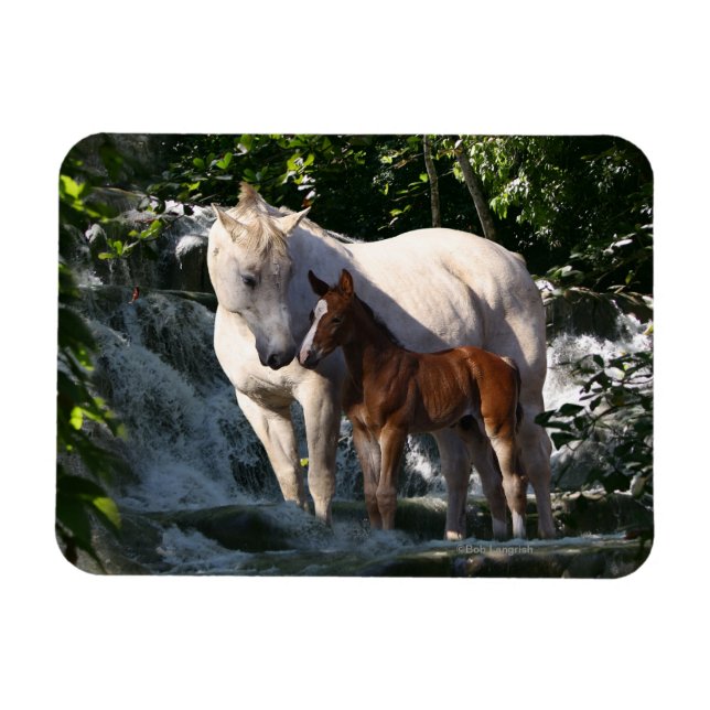 Magnet Flexible Chevaux d'Imaginaire : Cascade (Horizontal)