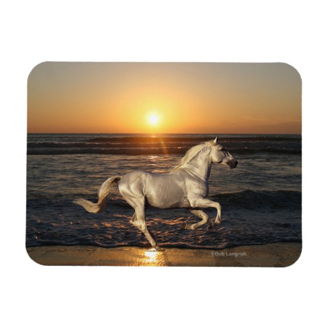 Magnet Flexible Chevaux d'Imaginaire : Coucher de soleil (Horizontal)