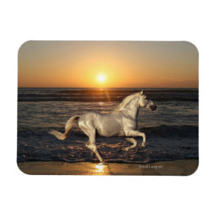 Magnet Flexible Chevaux d'Imaginaire : Coucher du soleil
