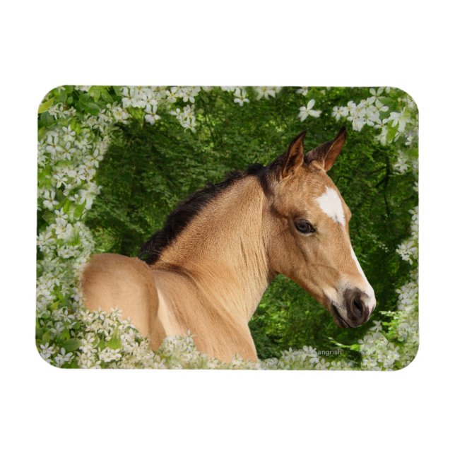 Magnet Flexible Chevaux d'Imaginaire : Fleurs (Horizontal)