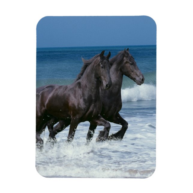 Magnet Flexible Chevaux d'Imaginaire : Friesians & Sea (Vertical)