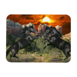 Magnet Flexible Chevaux d'Imaginaire : Magie noire