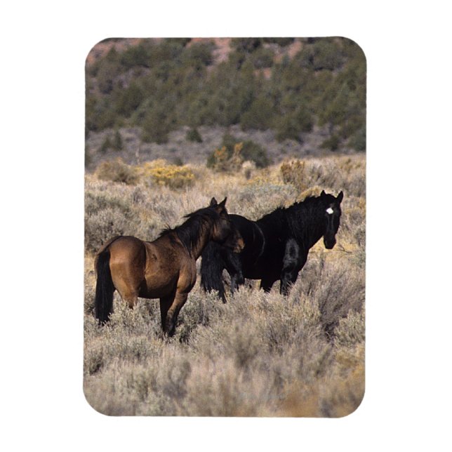 Magnet Flexible Chevaux Mustang sauvages dans le désert 2 (Vertical)