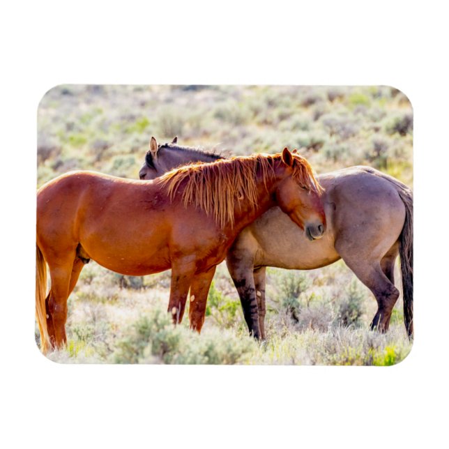 Magnet Flexible Chevaux sauvages (Horizontal)