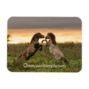 Magnet Flexible Chevaux sauvages caracolants dans l'aimant