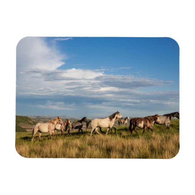 Magnet Flexible Chevaux sauvages dans le parc national Theodore Ro (Horizontal)