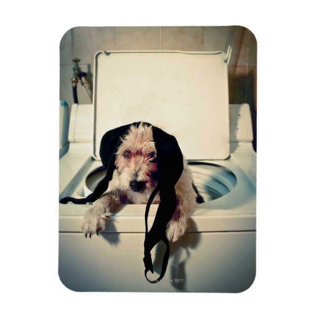 Magnet Flexible Chien aidant avec le lavage (Vertical)