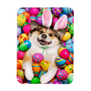 Magnet Flexible Chien allongé sur des œufs de Pâques