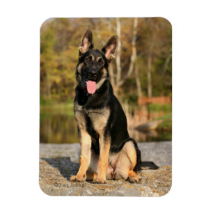 Magnet Flexible Chien berger allemand aimant chiot chien