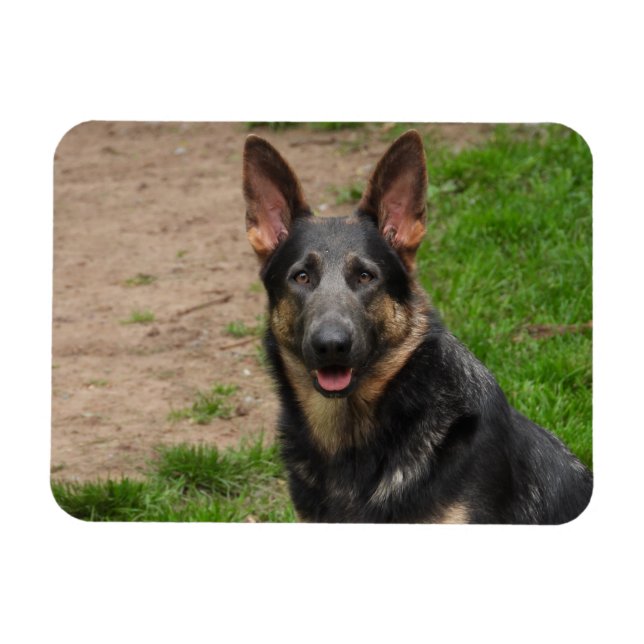 Magnet Flexible Chien berger allemand bleu (Horizontal)