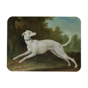 Magnet Flexible Chien blanc gris