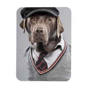 Magnet Flexible Chien dans le chandail et le casquette
