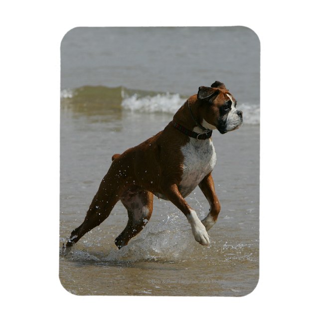 Magnet Flexible Chien de boîte dans l'eau (Vertical)