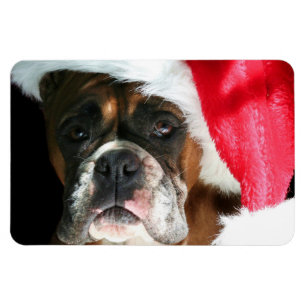 Magnet Flexible Chien de boîte de Noël