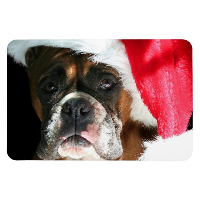 Magnet Flexible Chien de boîte de Noël (Horizontal)