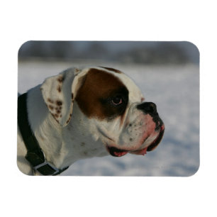 Magnet Flexible Chien de boxe dans la neige