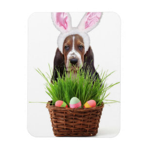 Magnet Flexible Chien de Pâques