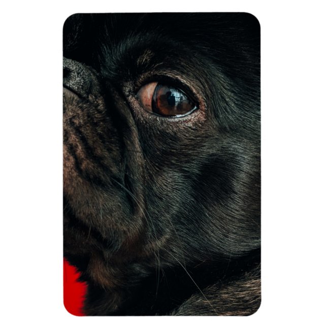 Magnet Flexible chien de rojo (Vertical)