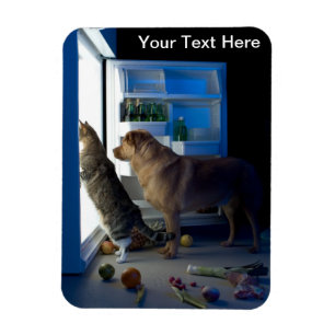 Magnet Flexible Chien et chat à la maison seul à minuit