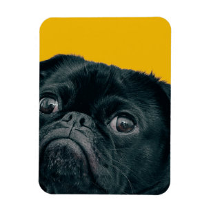 Magnet Flexible chien jaune