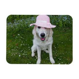 Magnet Flexible chien le plus doux au monde