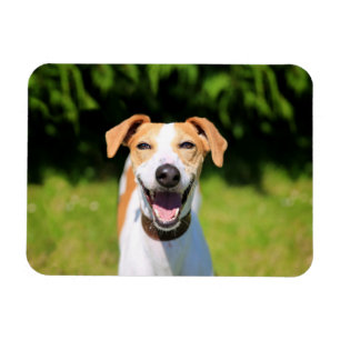 Magnet Flexible Chien riant des images de Getty