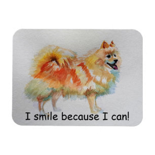Magnet Flexible Chien Spitz Allemand "Je souris parce que je peux