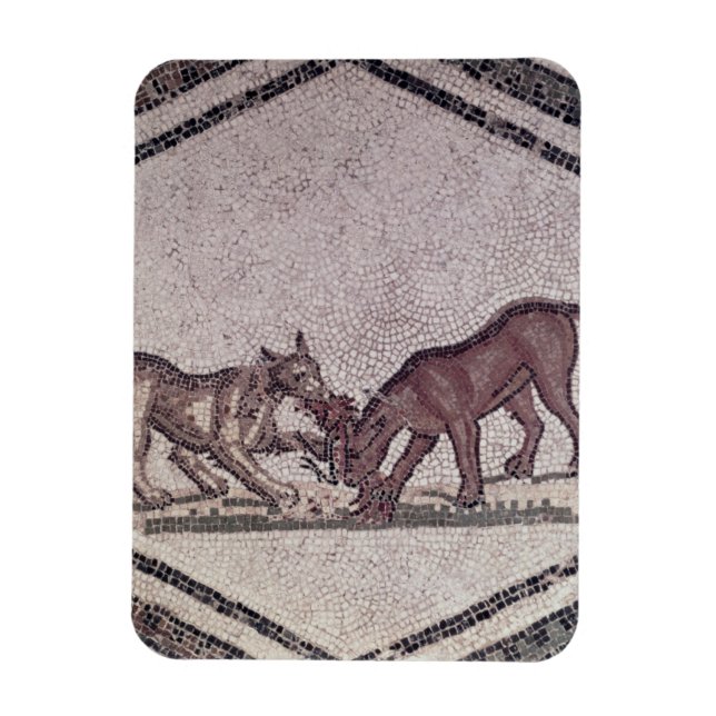 Magnet Flexible Chiens combattant pour un Oiseau, Romain, 2e-3e si (Vertical)