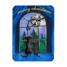 chiens du springador "en attente de père Noël" pou