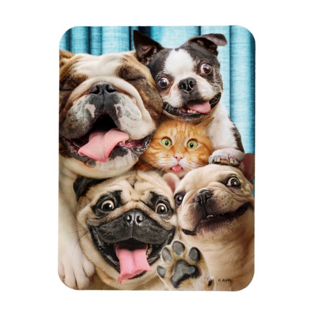 Magnet Flexible Chiens et photo d'un groupe de chats (Vertical)