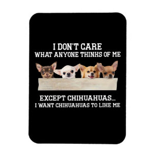 Magnet Flexible Chihuahua Je me fiche de ce que quiconque pense de