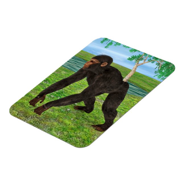 Magnet Flexible Chimpanzé (Côté Gauche)