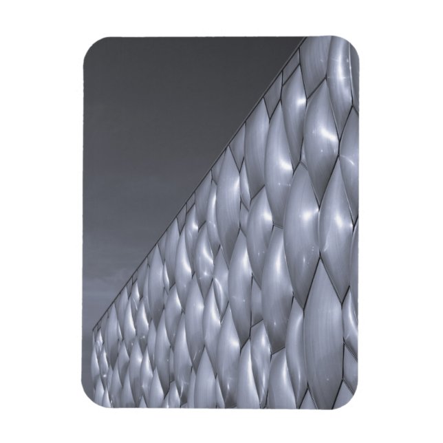 Magnet Flexible Chine, Pékin. Centre National Aquatique (Vertical)