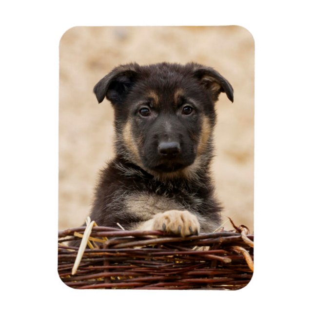 Magnet Flexible Chiot Allemand En Panier (Vertical)