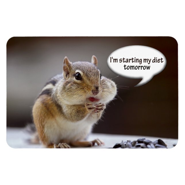 Magnet Flexible Chipmunk sur une photo de la diète (Horizontal)