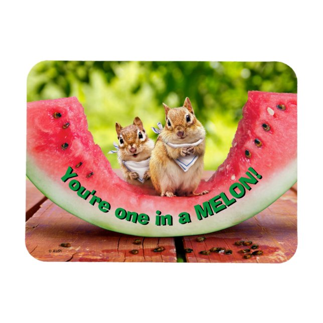 Magnet Flexible Chipmunks mangeant de la pastèque (Horizontal)